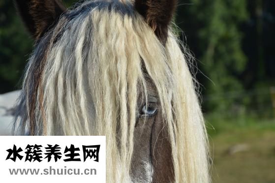 口臭怎么去除