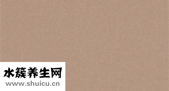 精华素怎么用
