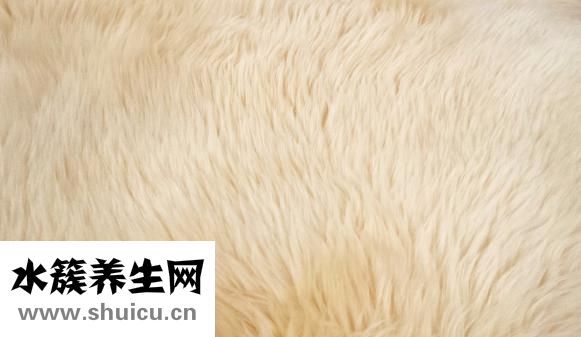 白发怎么办