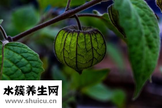 气溶胶是什么
