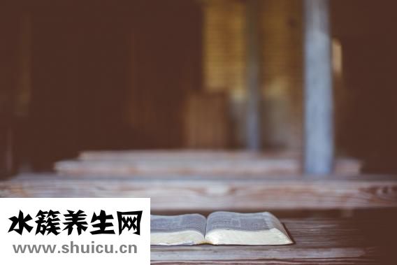 想减肥晚餐吃什么