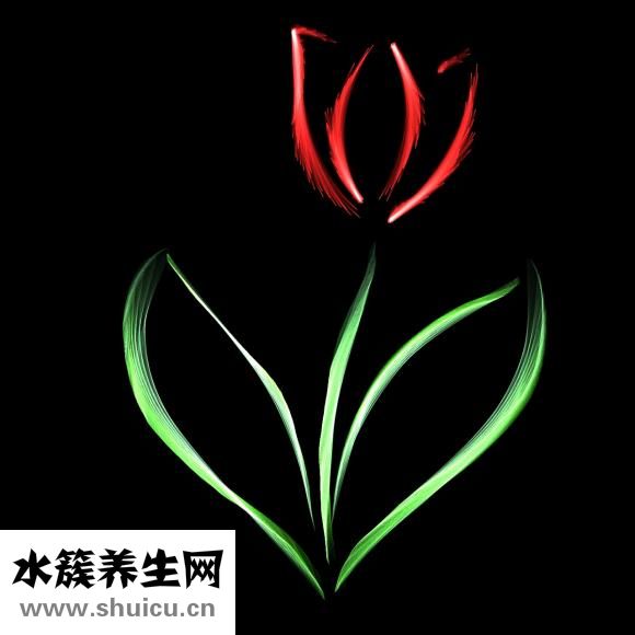 花生壳怎么用