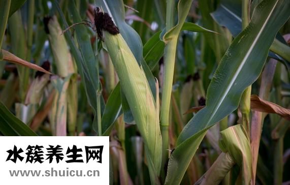 耳膜破了怎么办