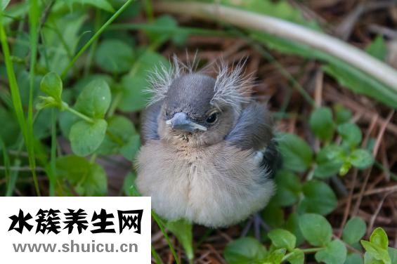 如何能祛斑