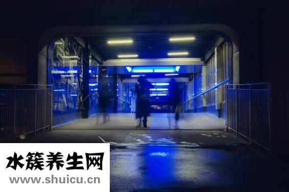 想减肥晚餐吃什么