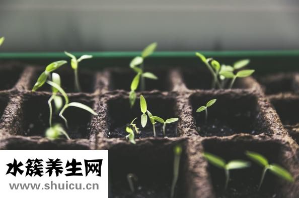 如何能祛斑