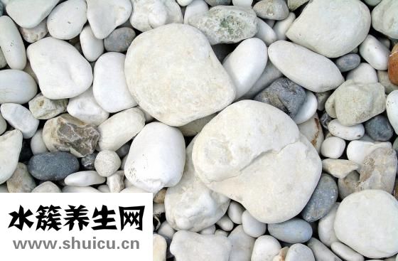 如何治疗痔疮