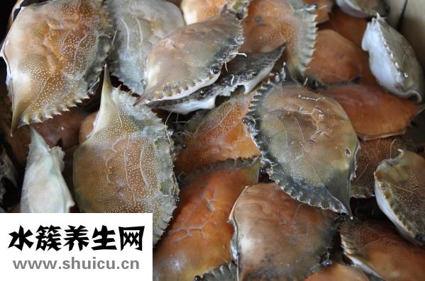 得了湿疹不能吃什么