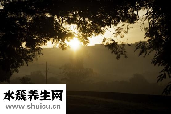 老年人吃什么补钙