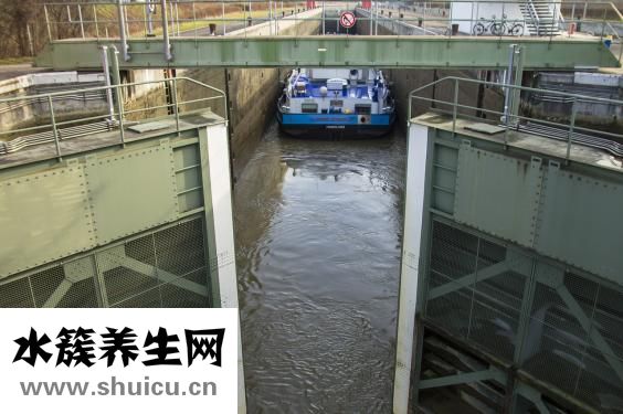 矿物油是什么