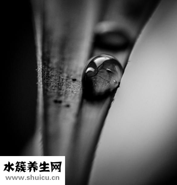 斑秃吃什么药