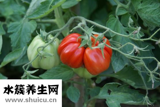 怎么治疗眼袋