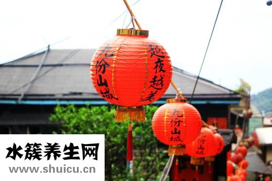 白头翁吃什么