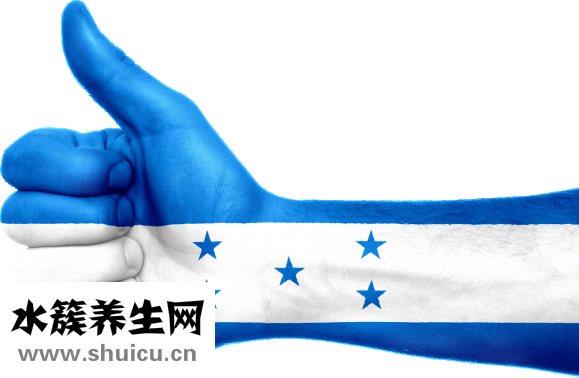 无名指是哪个