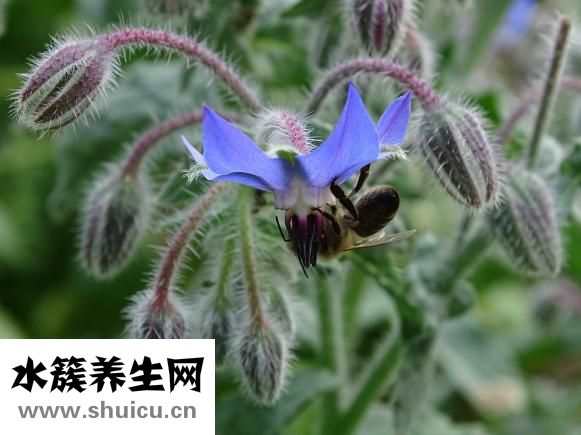 怎么去除鱼尾纹