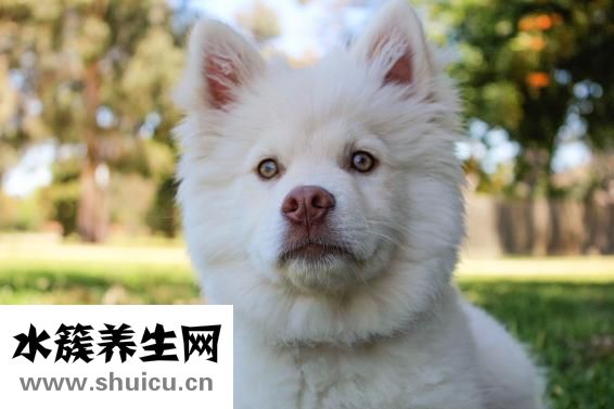 婴儿不吃奶怎么办