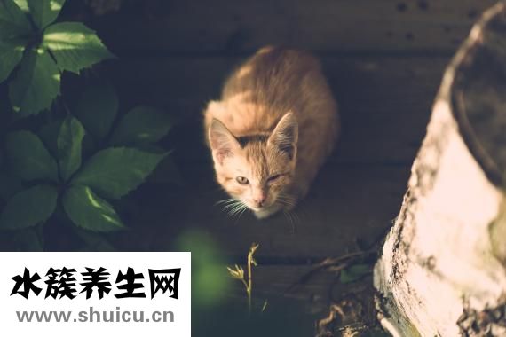 如何缓解眼疲劳