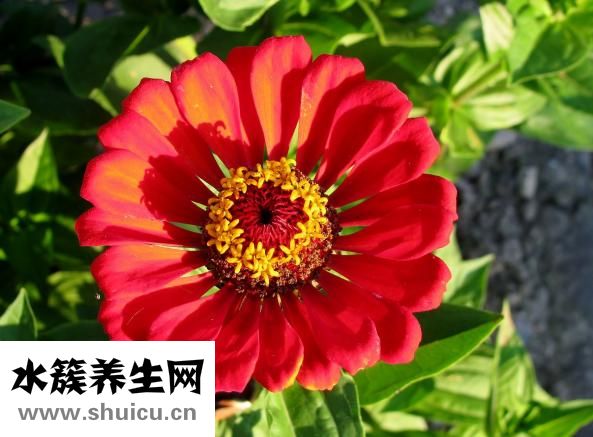 怎么用易经算卦