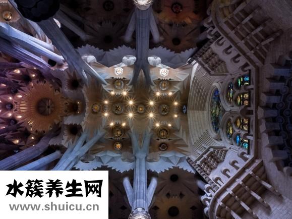 沙丁鱼怎么做好吃