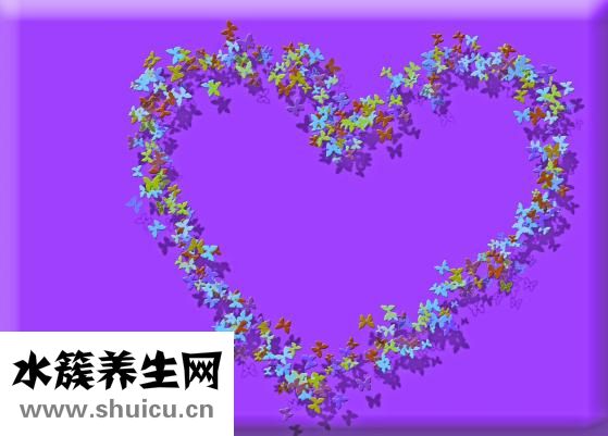 喜报怎么写
