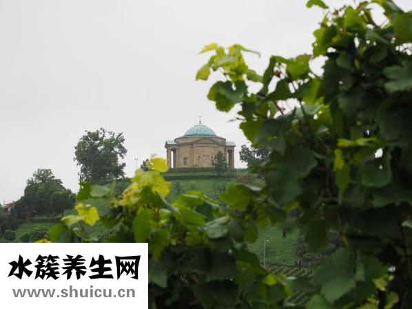 开斋节是哪个民族的