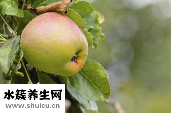 解酒吃什么