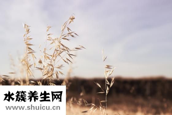 怎么去掉青春痘