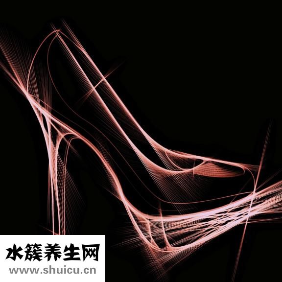 补肾吃什么好