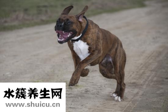 如何治疗耳鸣
