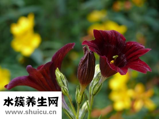怎么样才可以去眼袋
