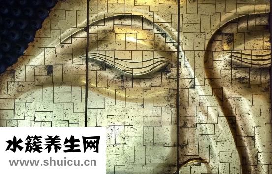 草字头有什么字