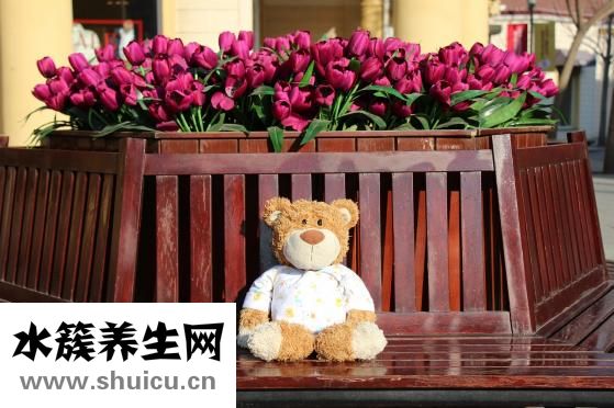 化疗后掉头发怎么办