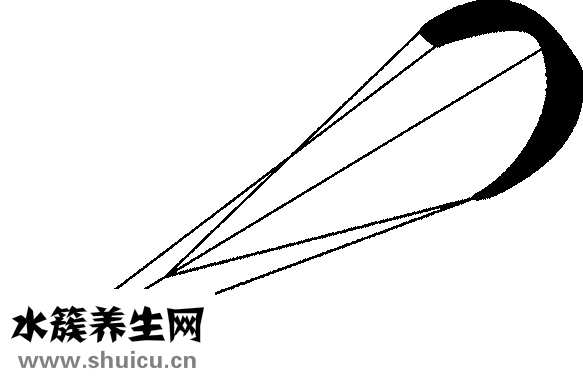 怎么样快速美白