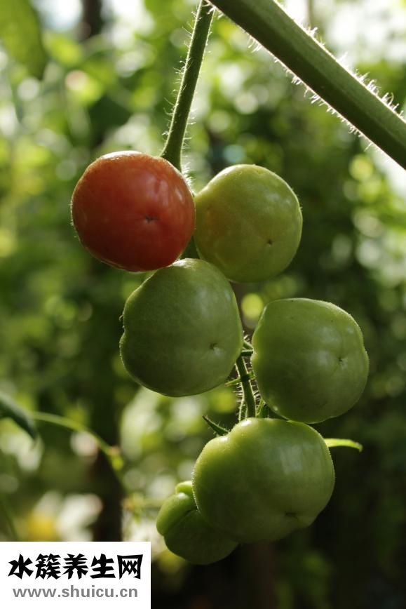 去痘印用什么好