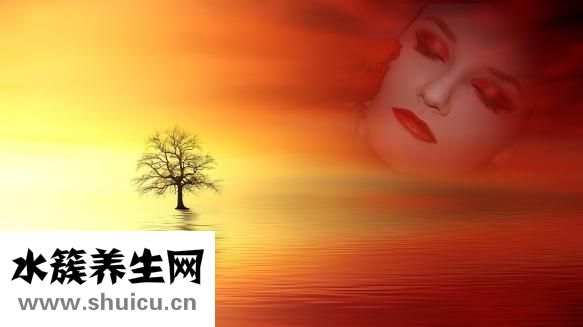 老年人吃什么补钙