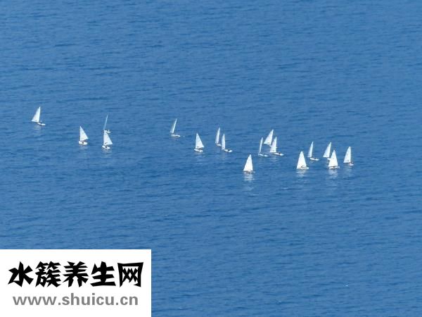 喜报怎么写