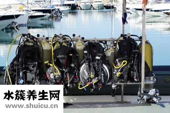蚕沙是什么
