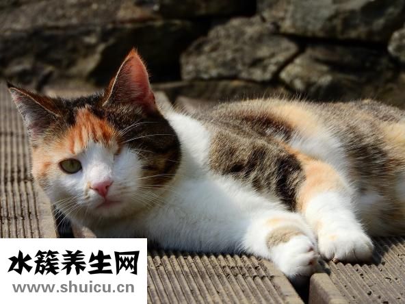 如何治疗近视