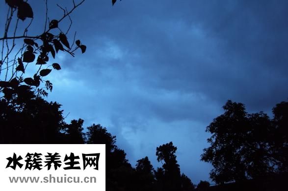 脑干胶质瘤能活多久