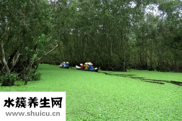 腹痛怎么办