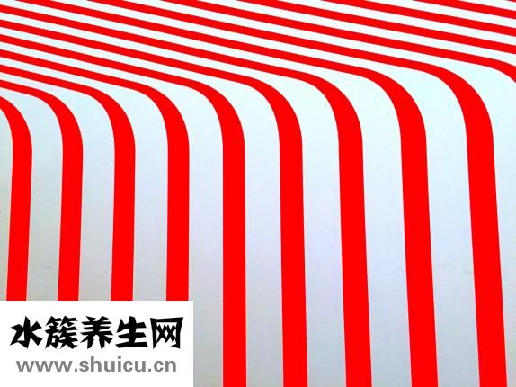 如何按摩丰胸