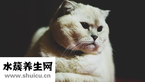 鼻子脱皮怎么办