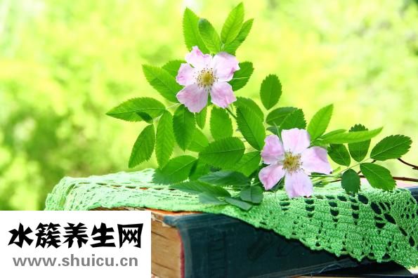 月经期间注意什么
