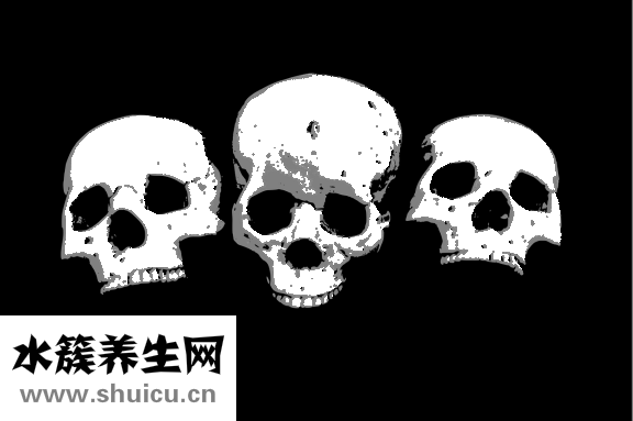 骨折后吃什么