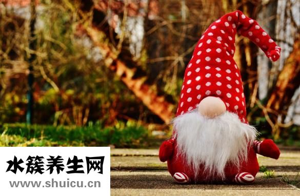如何快速收录