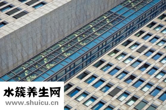 肛瘘是什么