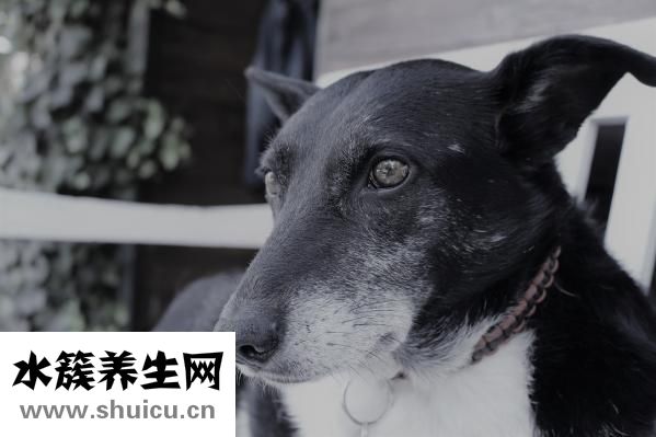 有妊娠纹怎么办