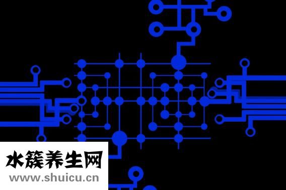 风信子怎么养
