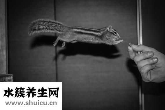 生活中有哪些小窍门