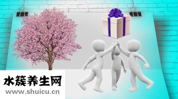 同学用英语怎么说